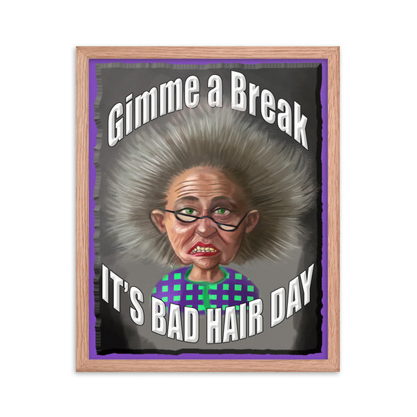 "MISS CONGENIALITY"  -GIMME A BREAK  -IT'S A BAD HAIR DAY