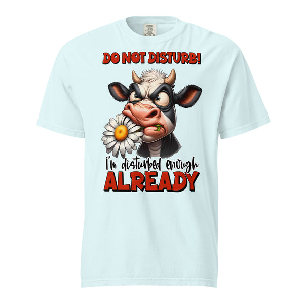 DO NOT DISTURB  -I'M DISTURBED ENOUGH ALREADY