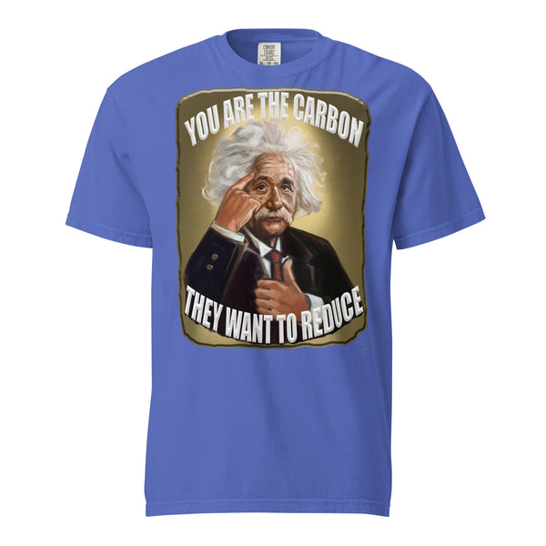 ALBERT EINSTEIN  -YOU ARE THE CARBON  -THEY WANT TO REDUCE