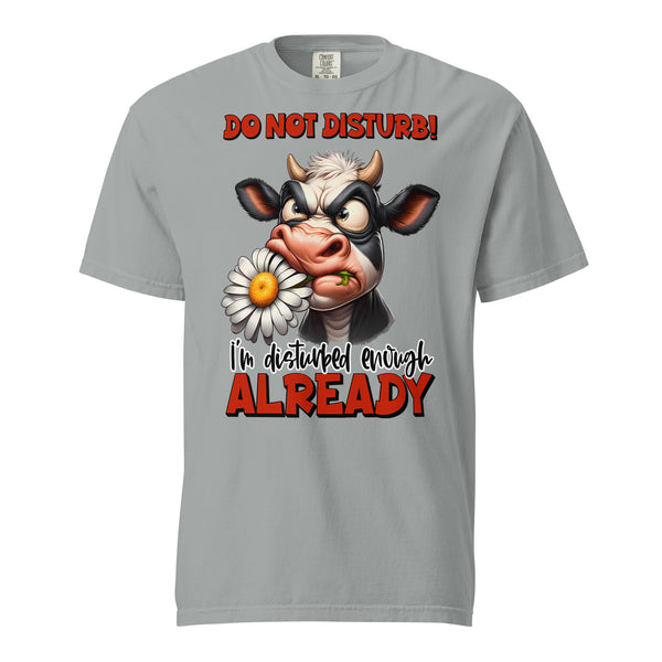 DO NOT DISTURB  -I'M DISTURBED ENOUGH ALREADY