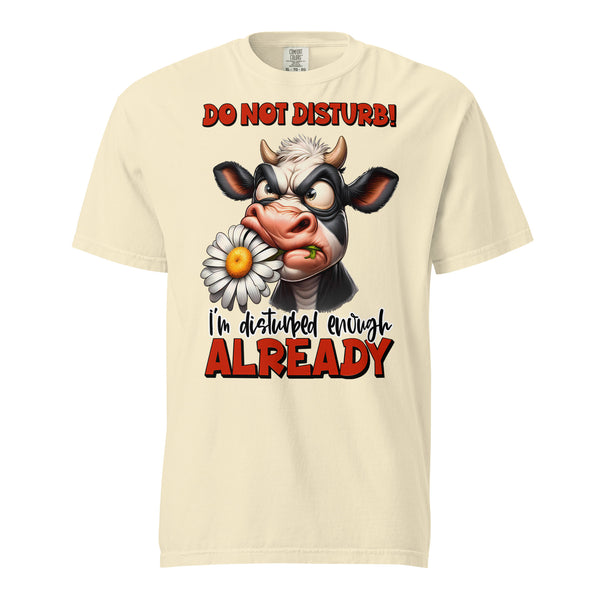 DO NOT DISTURB  -I'M DISTURBED ENOUGH ALREADY