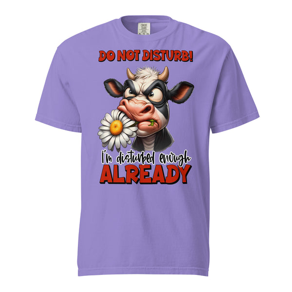 DO NOT DISTURB  -I'M DISTURBED ENOUGH ALREADY