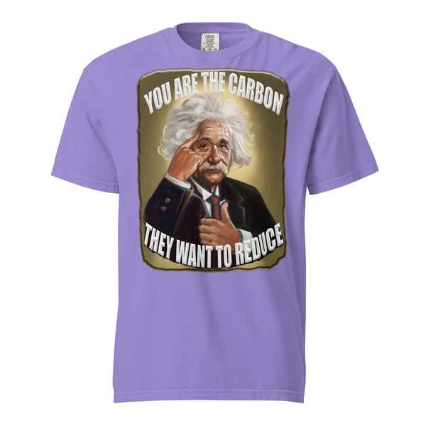 ALBERT EINSTEIN  -YOU ARE THE CARBON  -THEY WANT TO REDUCE