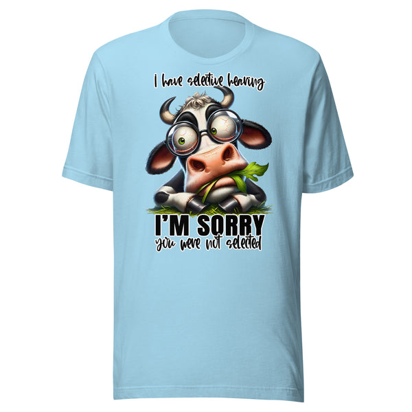 I'M SORRY YOU WERE NOT SELECTED