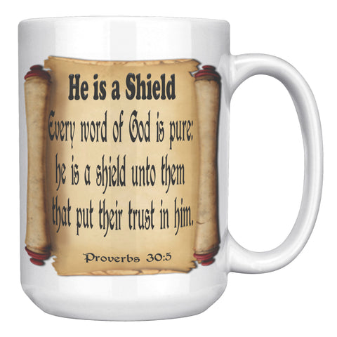HE IS A SHIELD  -Proverbs 30:5