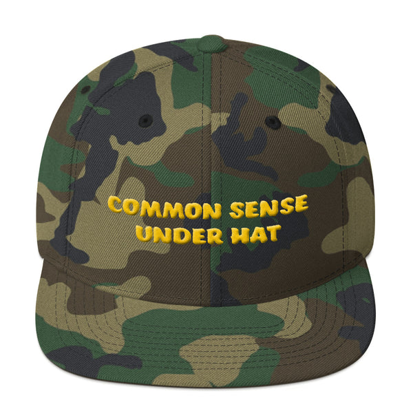 COMMON SENSE UNDER HAT #3 3D