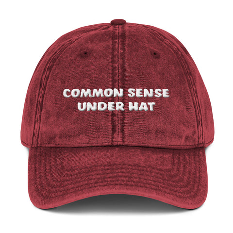 COMMON SENSE UNDER HAT #2 3D