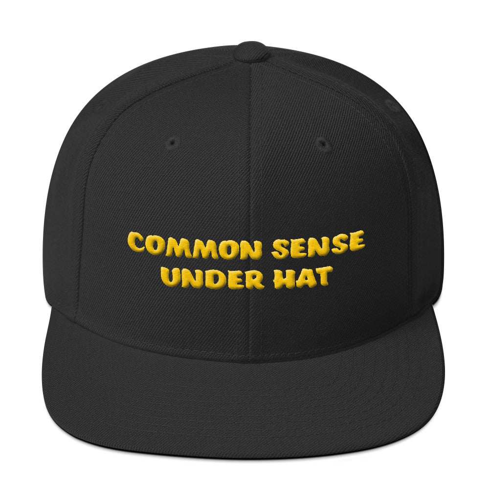 COMMON SENSE UNDER HAT #3 3D