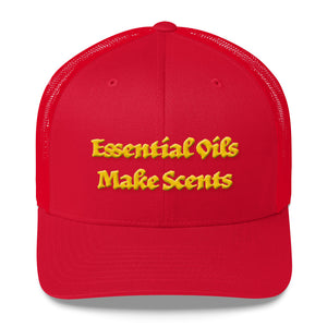 Essential Oils Make Sense...      Mesh Snapback Hat