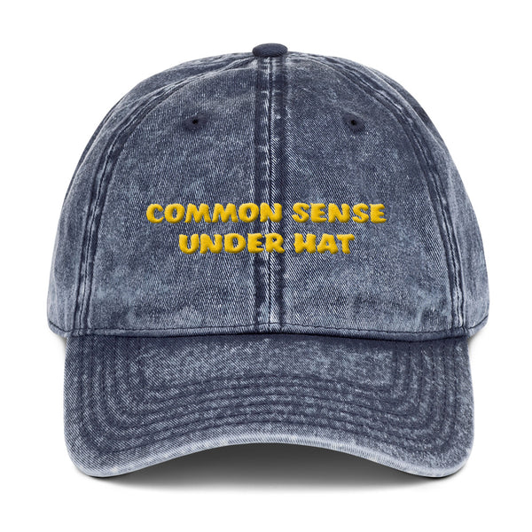 COMMON SENSE UNDER HAT #1 3D