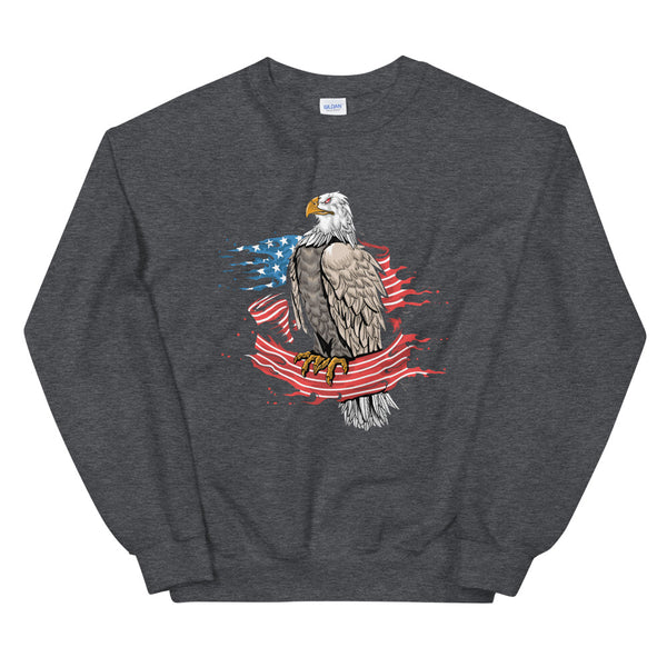 EAGLE WRAPPED IN THE AMERICAN FLAG