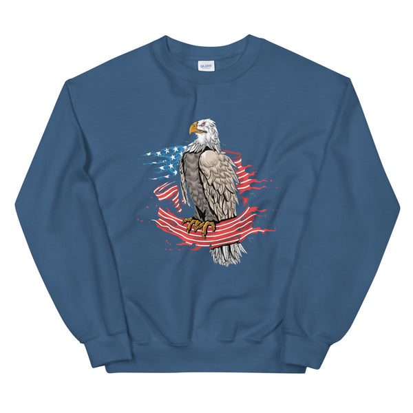 EAGLE WRAPPED IN THE AMERICAN FLAG