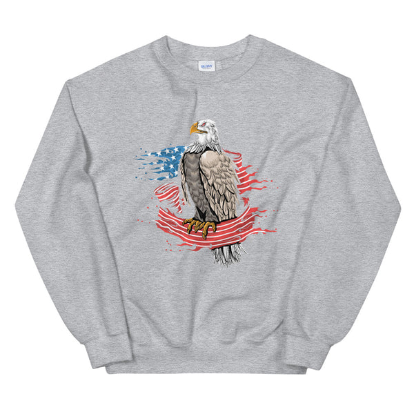 EAGLE WRAPPED IN THE AMERICAN FLAG