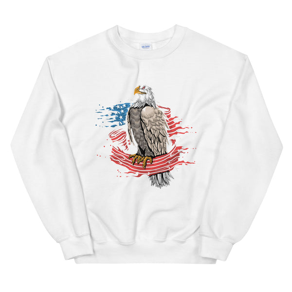EAGLE WRAPPED IN THE AMERICAN FLAG